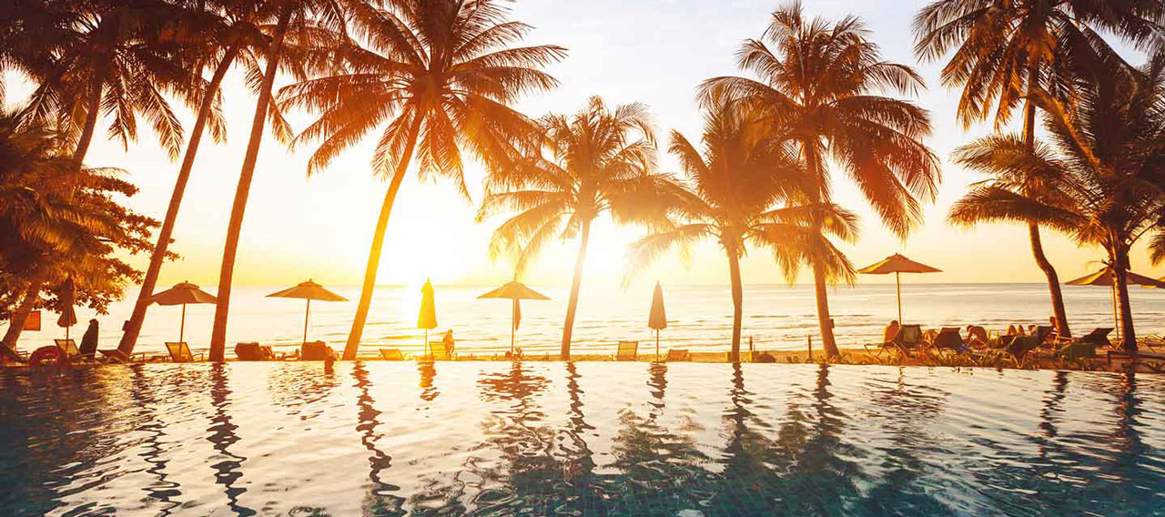 luxury swimming pool with palm trees