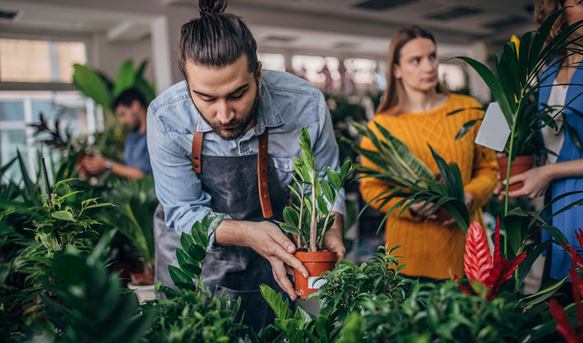 Young man working in a plant nursery