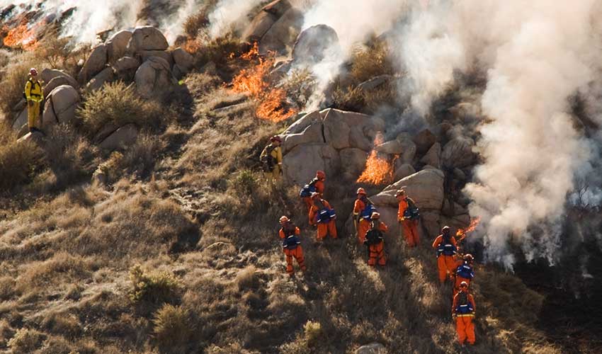 firefighters battle brushfire