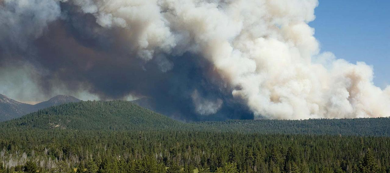 smoke plume from forest